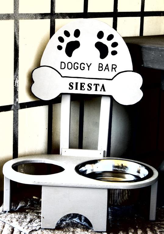 Hotel Siesta Lido di Camaiore Dış mekan fotoğraf